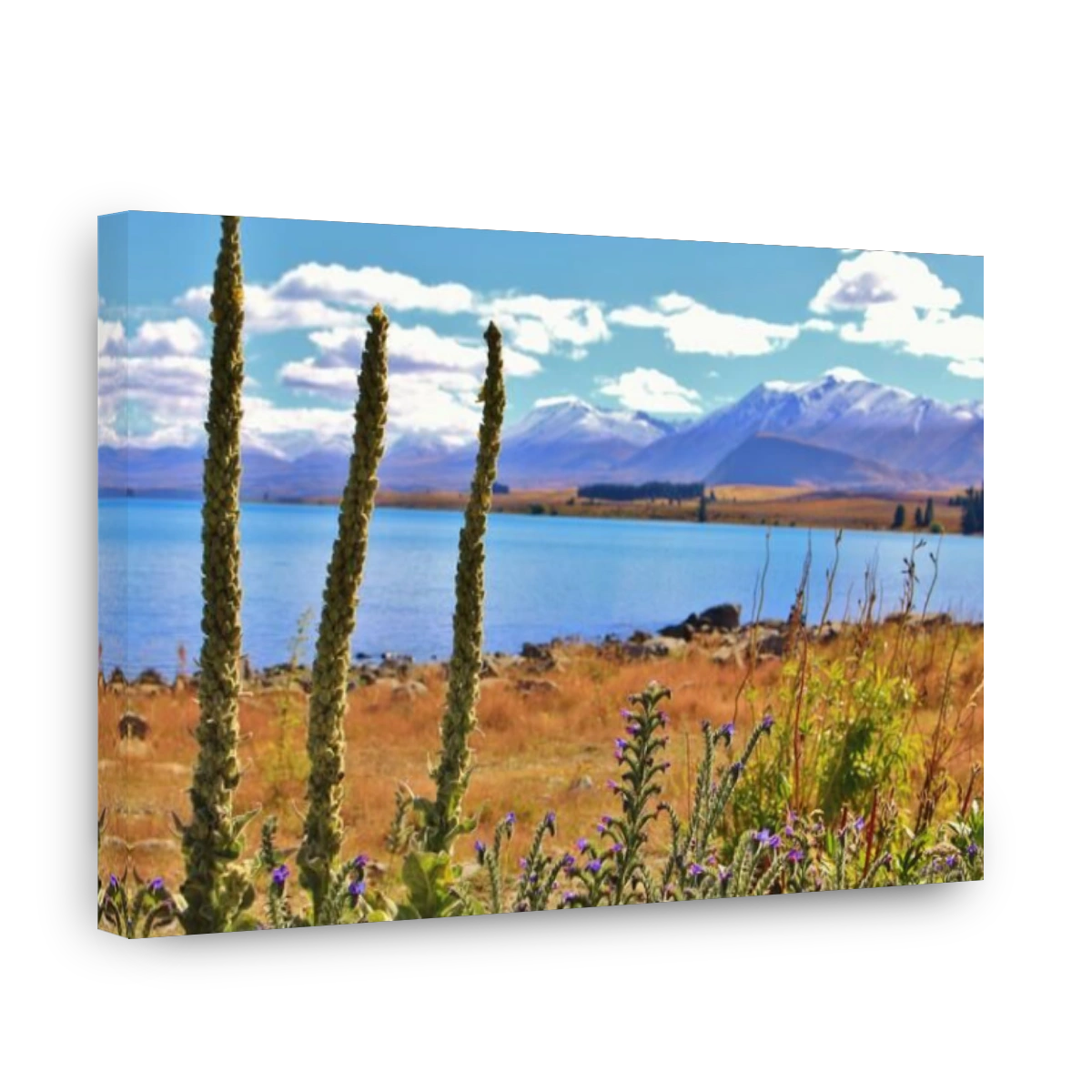 Beautiful Lake Pukaki in New Zealand
