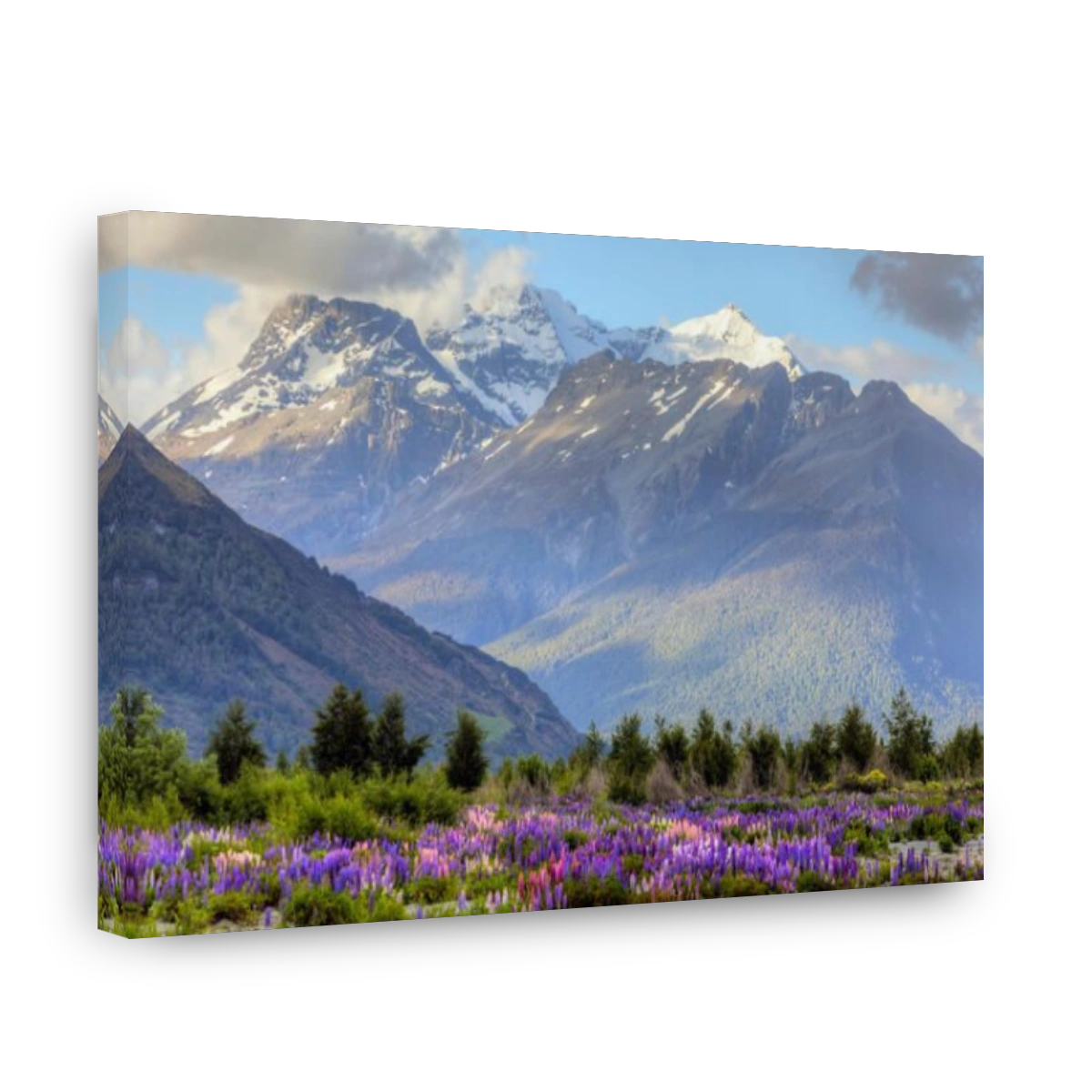 Glenorchy, Lake Wakatipu, Otaga, South Island, New Zealand