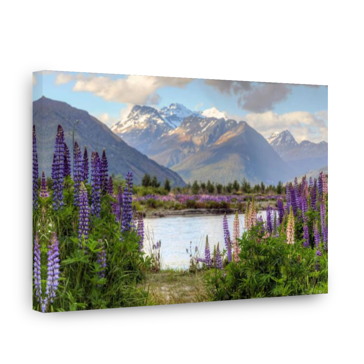 Glenorchy, Lake Wakatipu, Otaga, South Island, New Zealand
