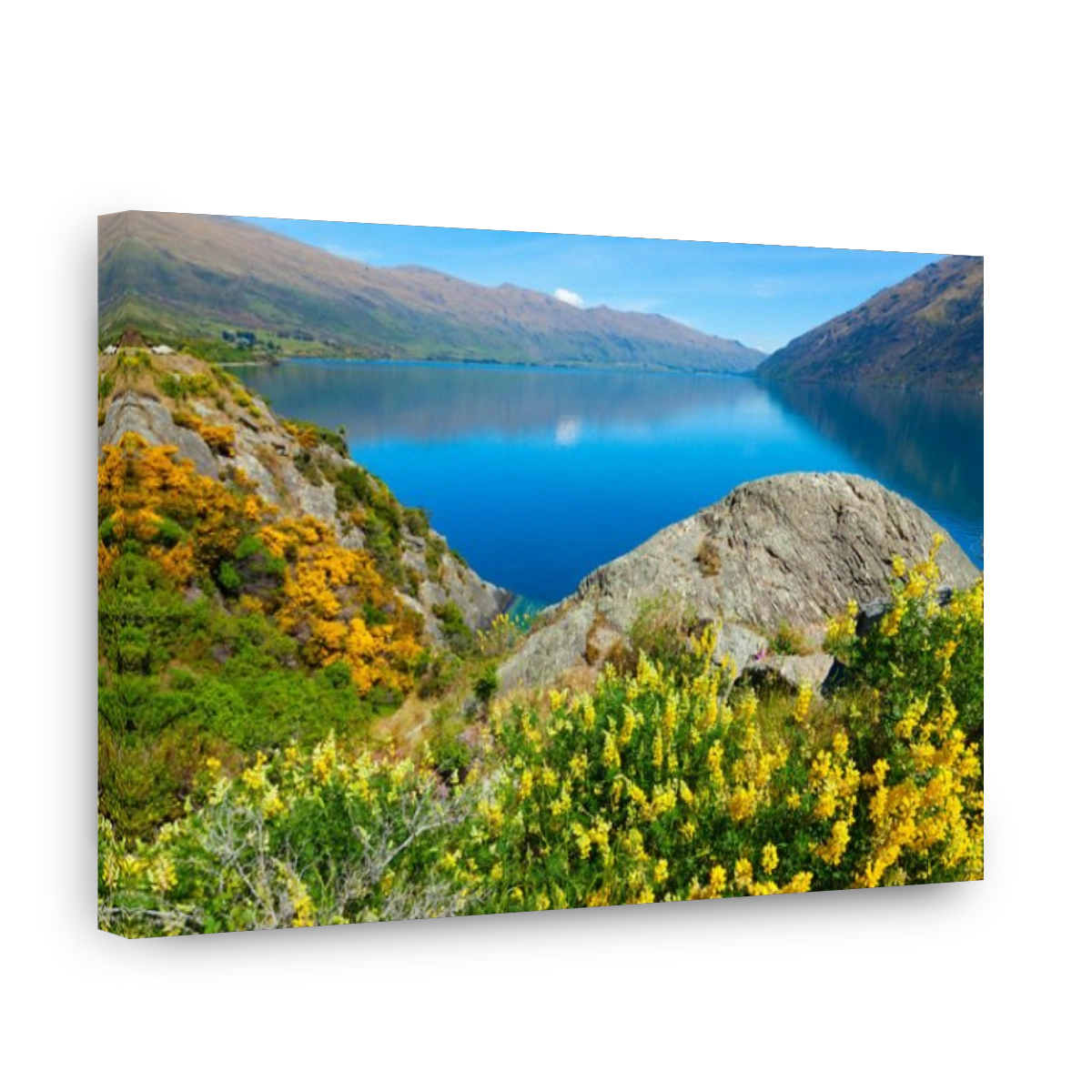 Lake Wakatipu in New Zealand