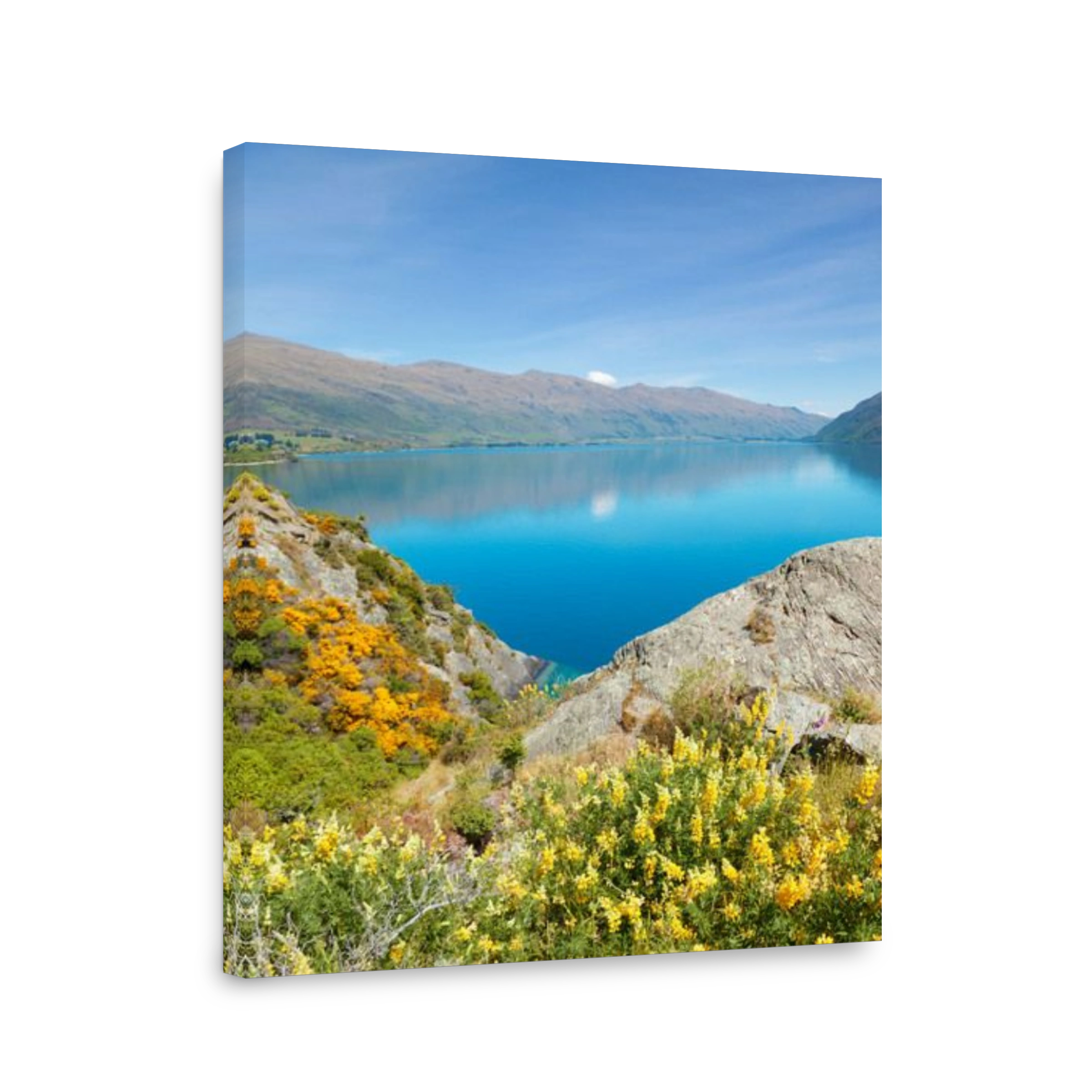 Lake Wakatipu in New Zealand