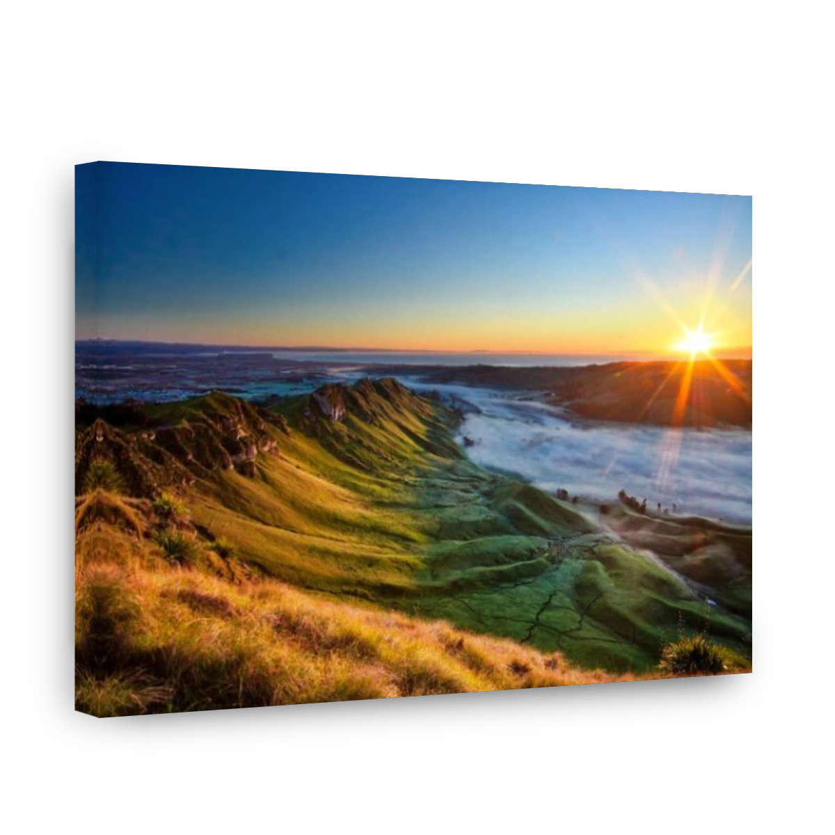 Morning at Te Mata, New Zealand