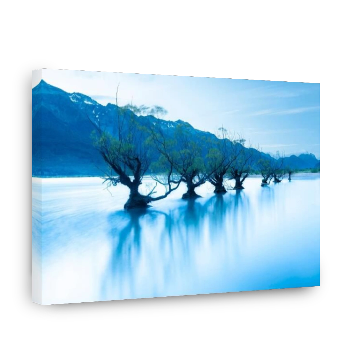 Willow trees in Lake Wakatipu, Glenorchy, New Zealand