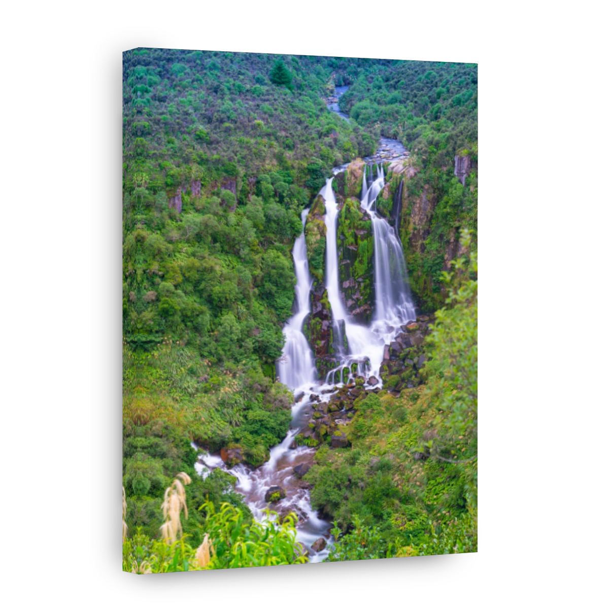 Waipungu Falls, waterfalls surrounded by lush New Zealand native bush on Napier to Taupo highway.
