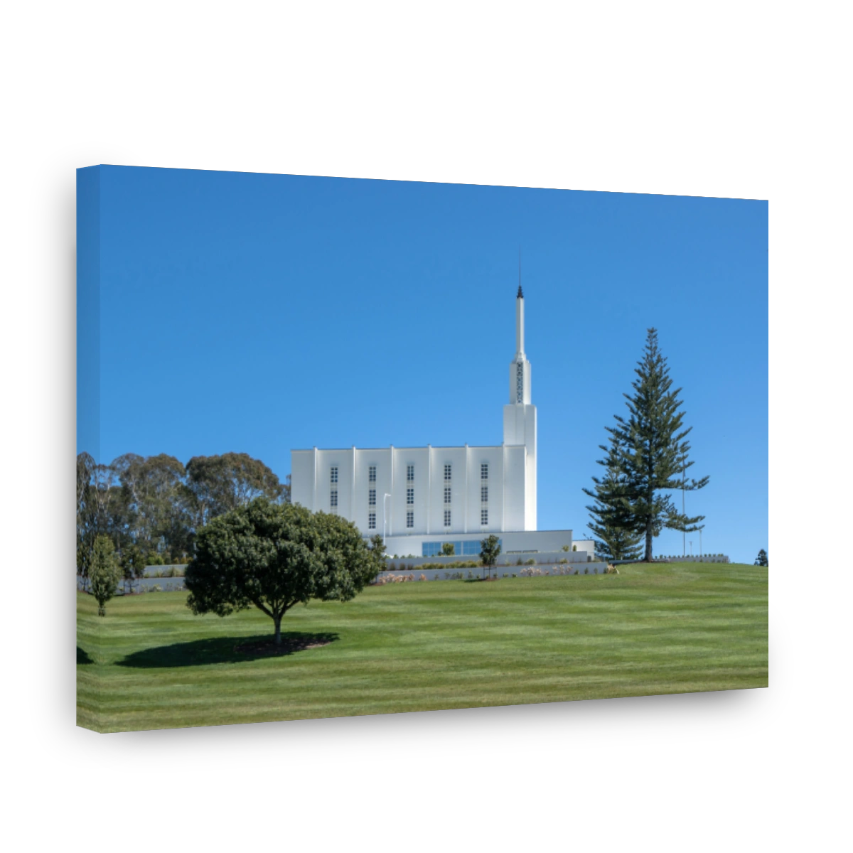 Hamilton New Zealand Temple on a Sunny Day