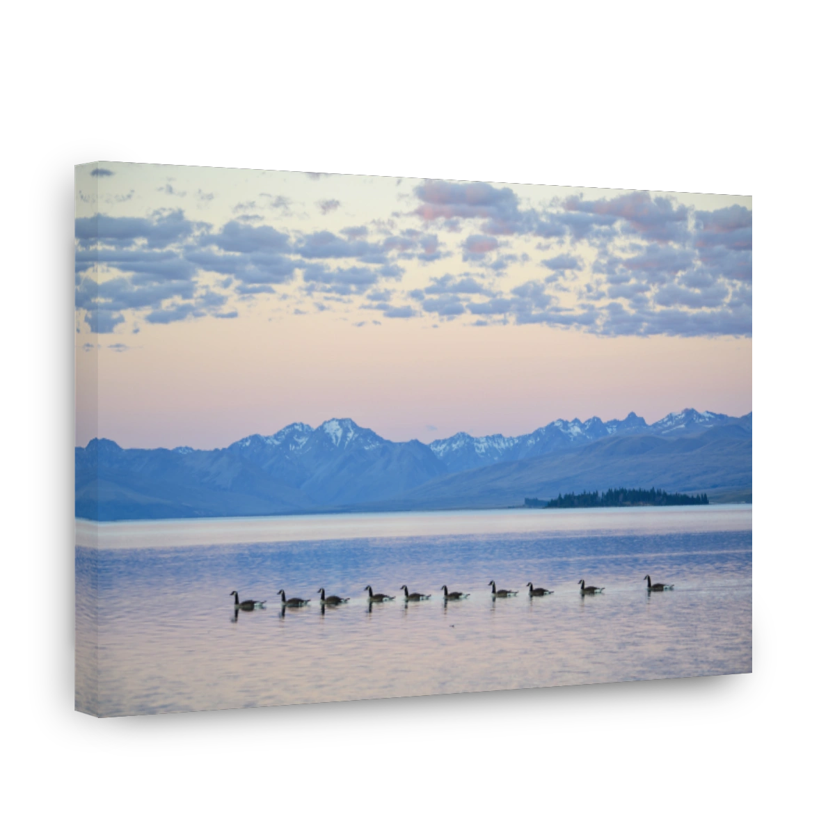 Ducks on Lake Tekapo at Dusk