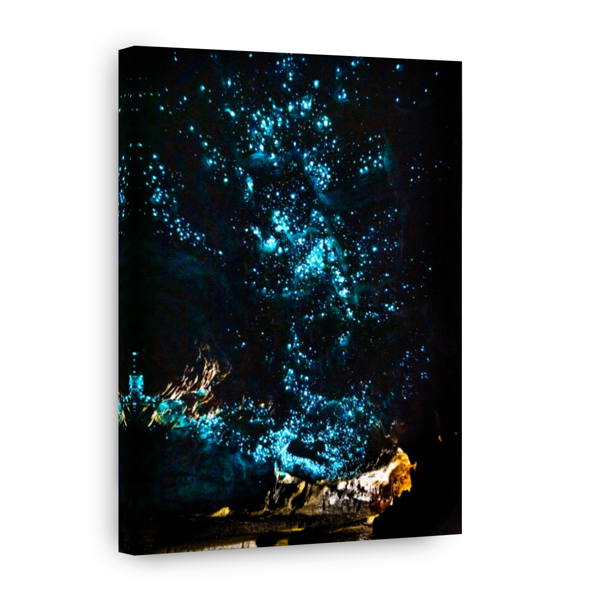 Magical glow worms illuminate Waipu Caves
