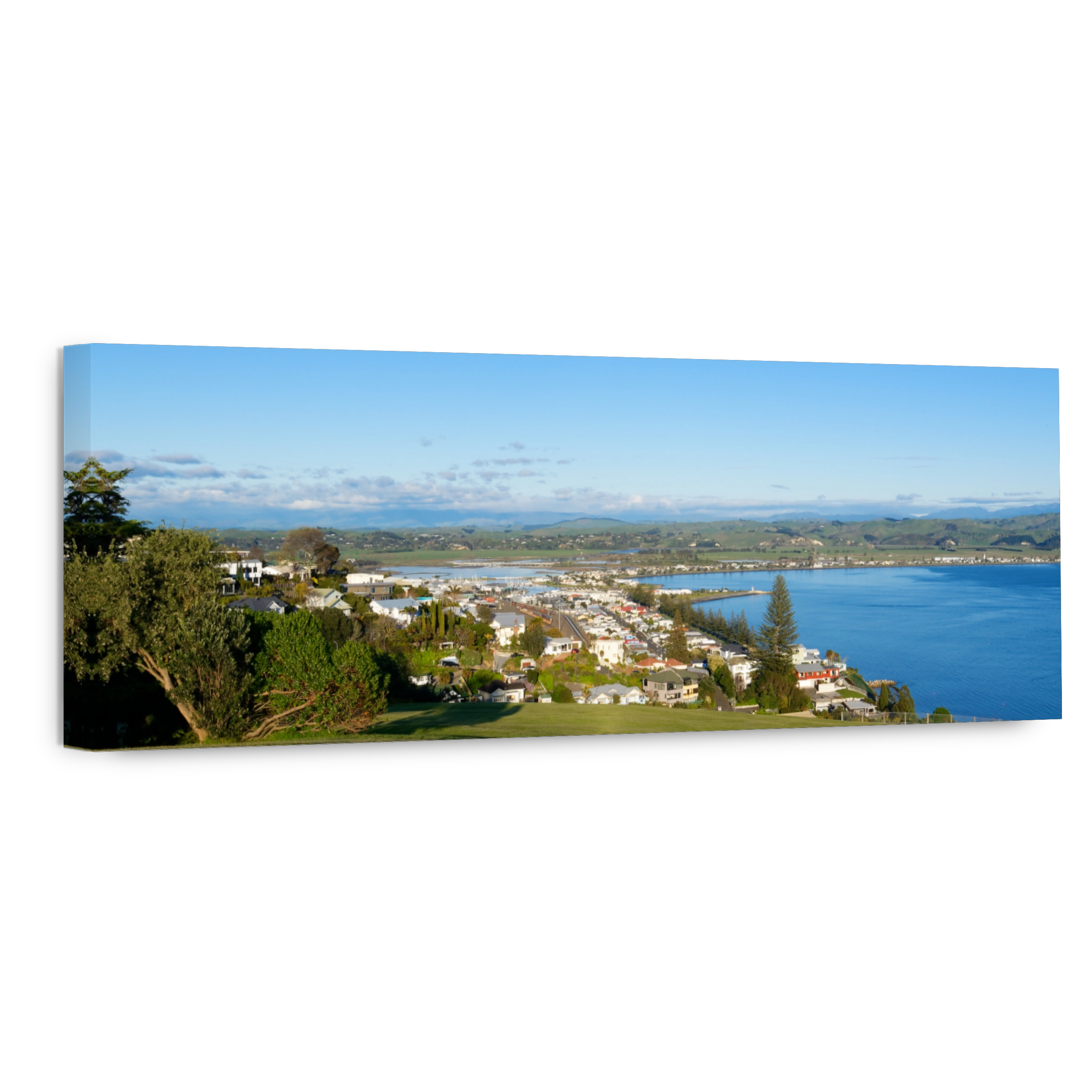 Serene coastal cityscape of Napier, New Zealand