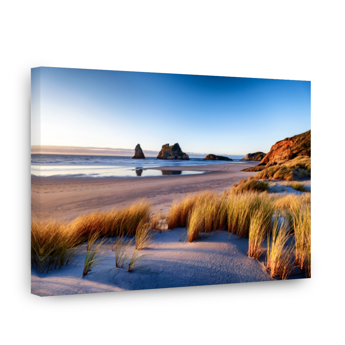 Tranquil Coastal Landscape at Wharariki Beach