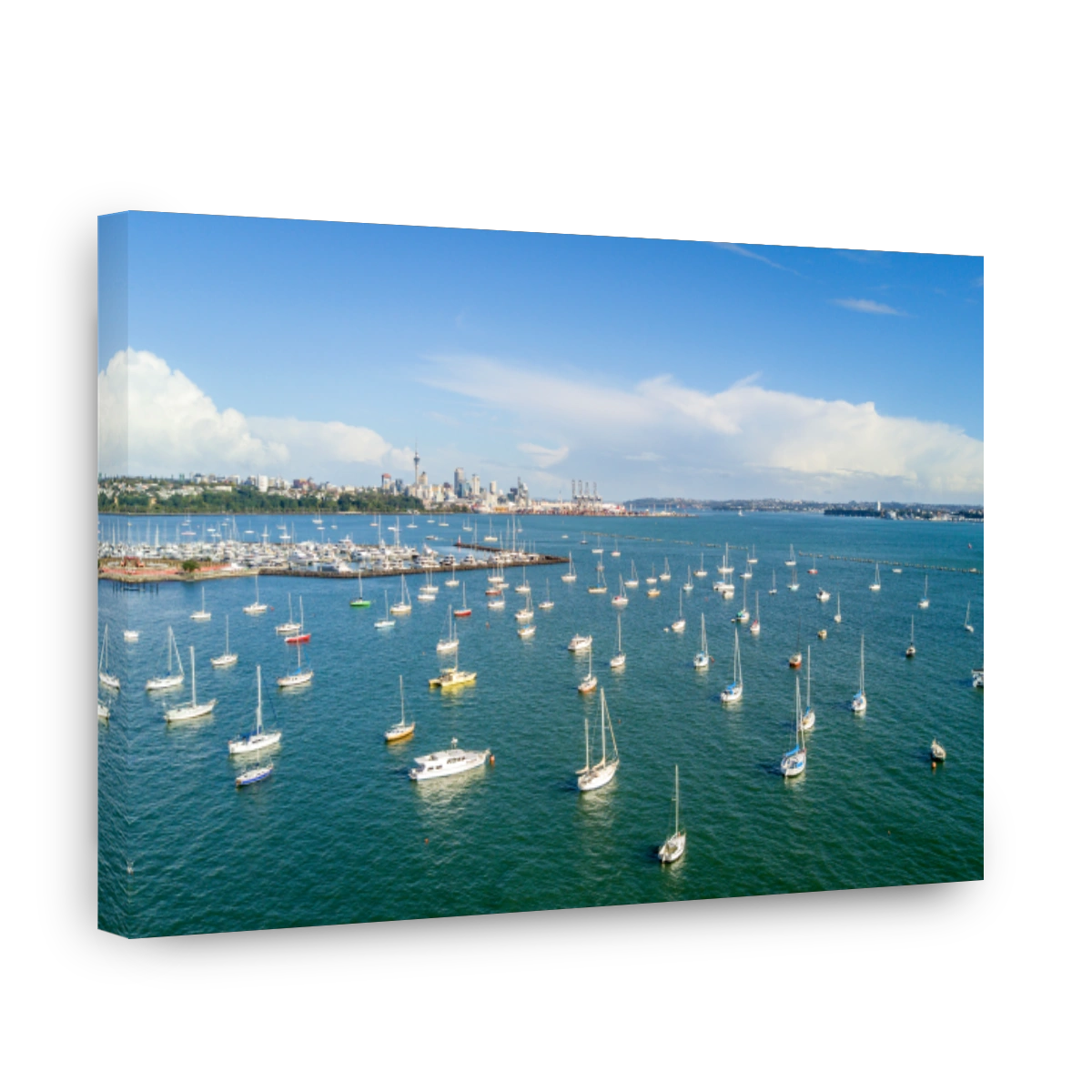 Boats in Auckland Harbour with Sky Tower View
