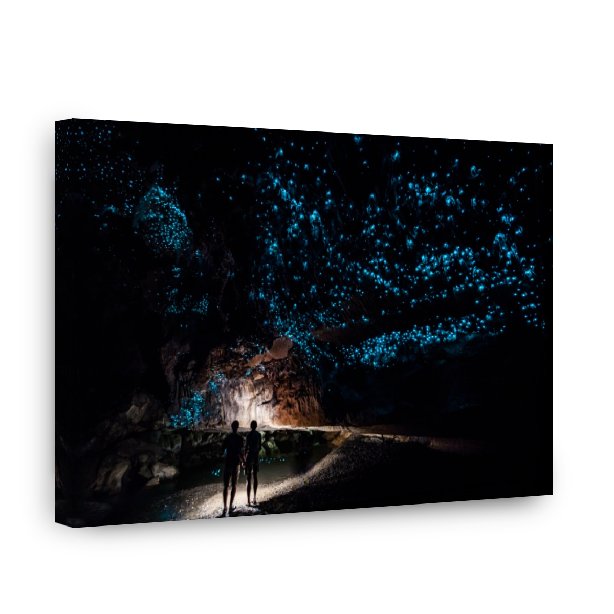 Magical Glow Worms Illuminate Waipu Cave in New Zealand