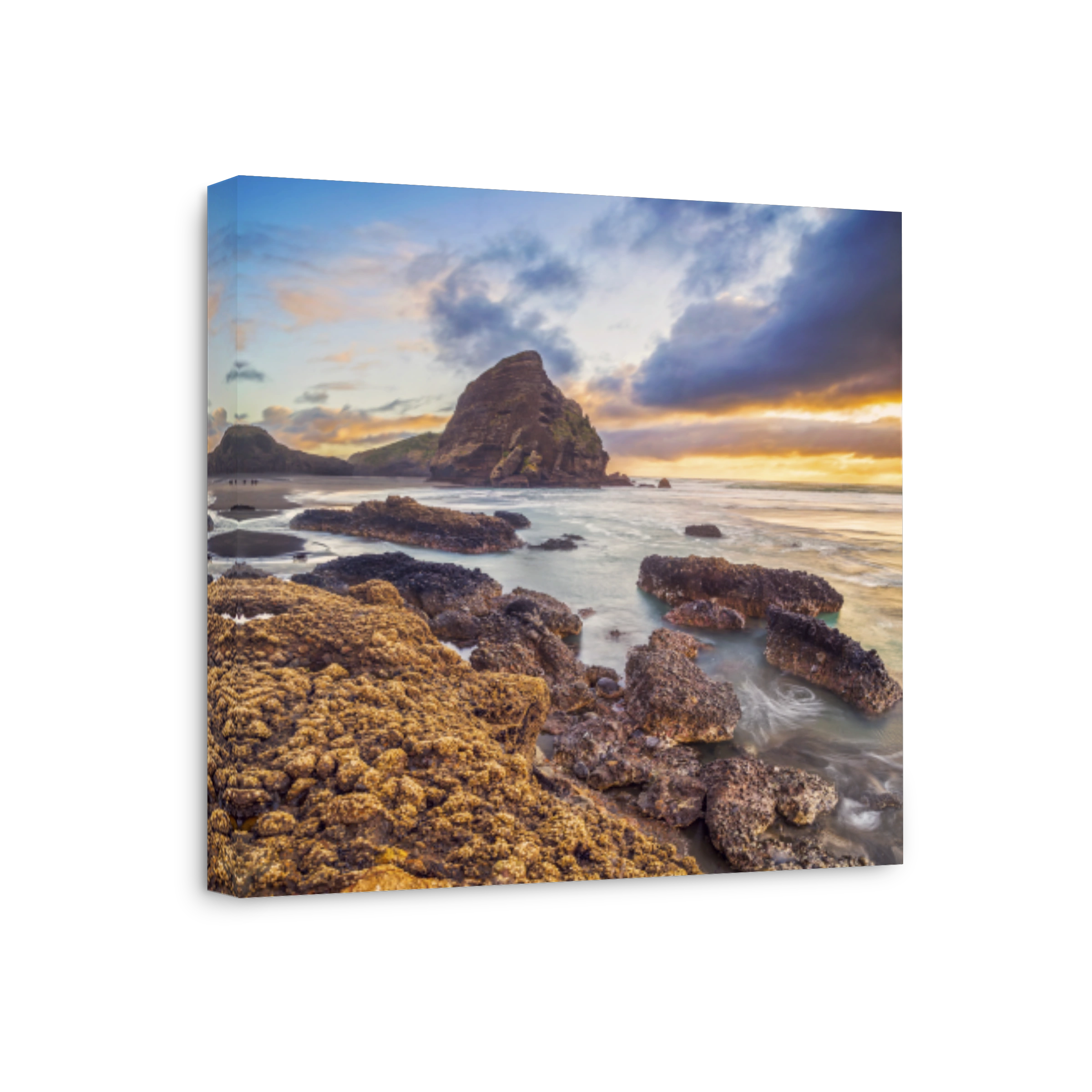 Dramatic Piha Beach Landscape Photography