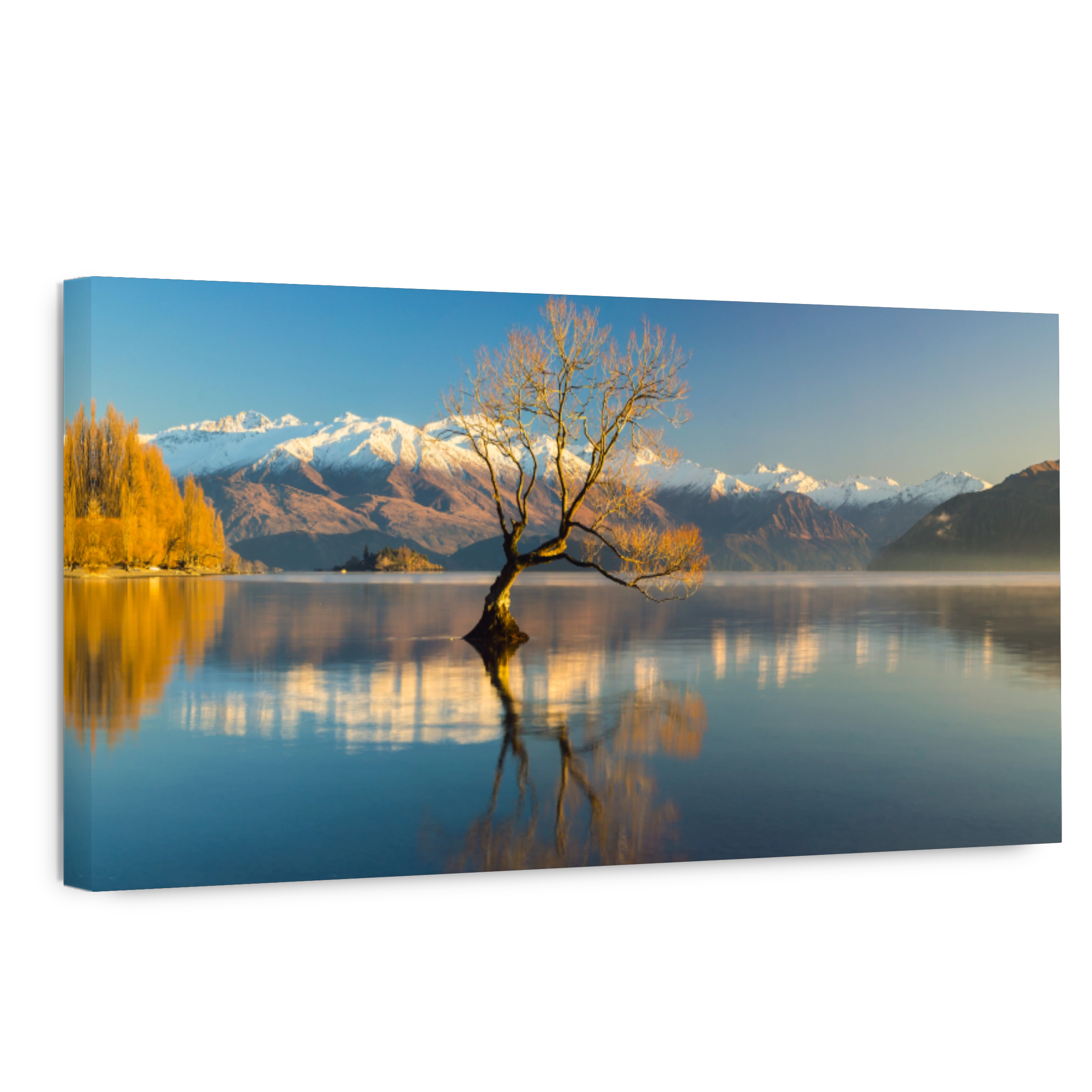 Serene Lake Wanaka tree with The Remarkables