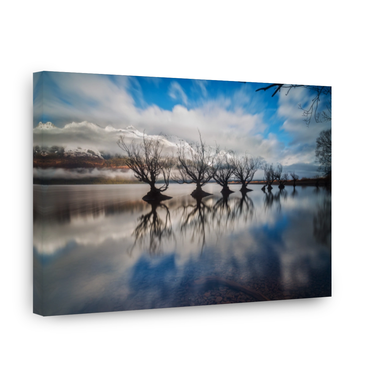 Serene Willow Trees Reflected in Lake Wakatipu