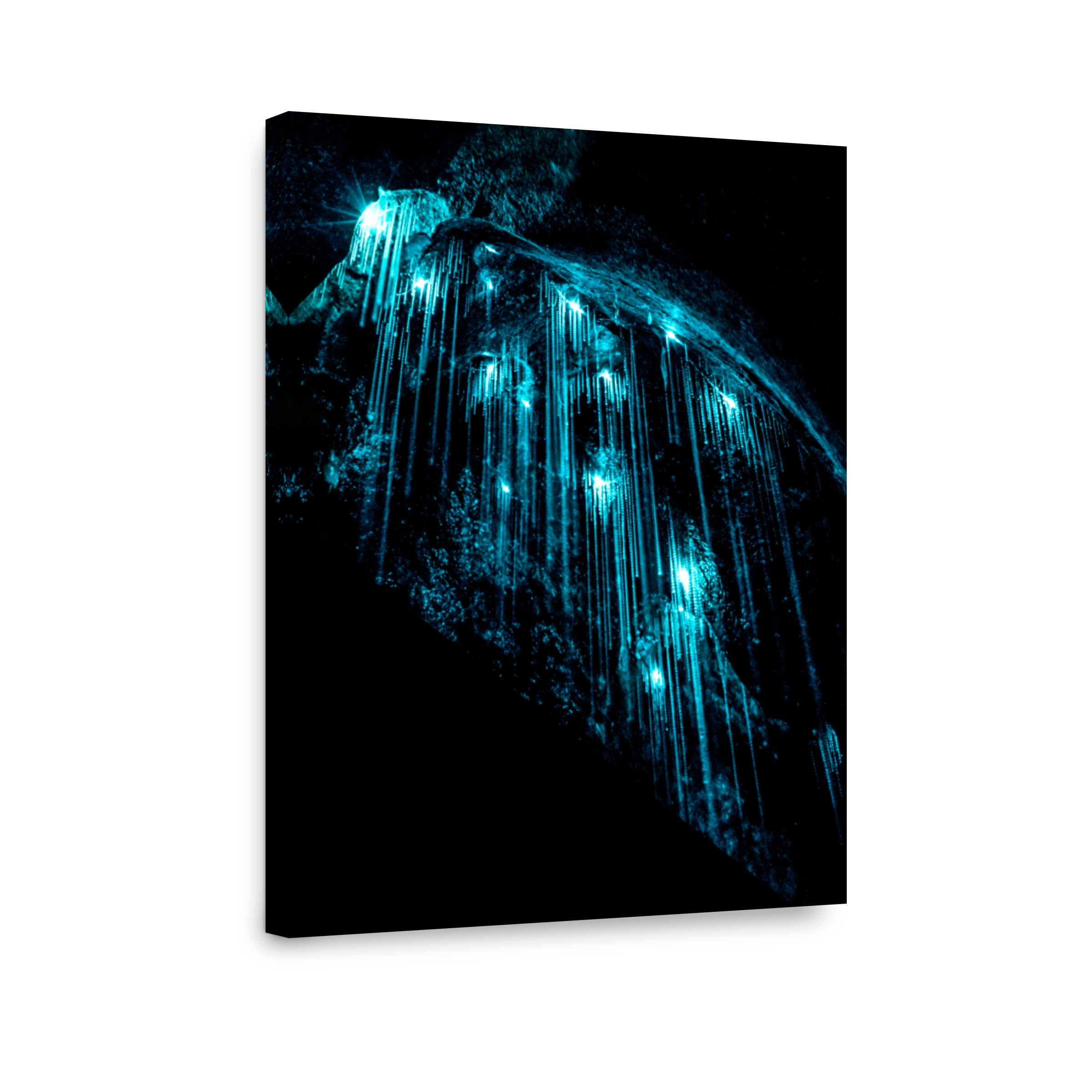 Mysterious Glowworms in Waipu Cave