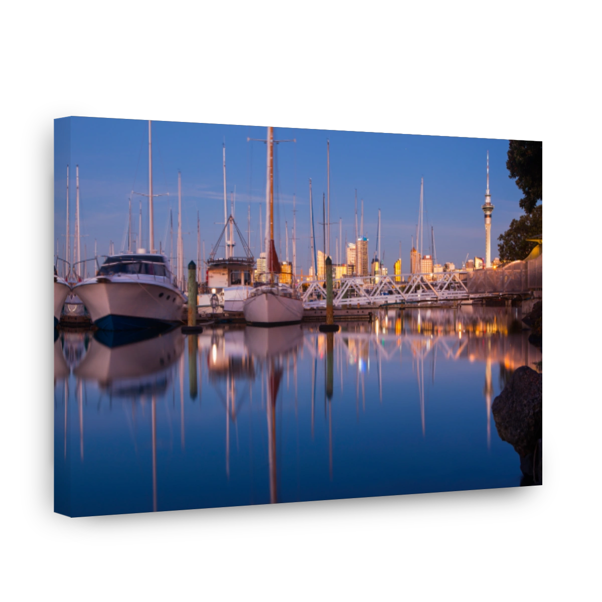 Auckland City Skyline at Dusk with Sky Tower