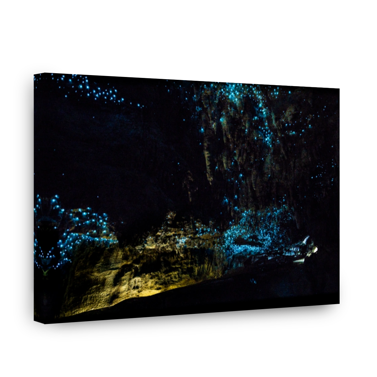 Magical Glowworms in Waipu Cave, New Zealand