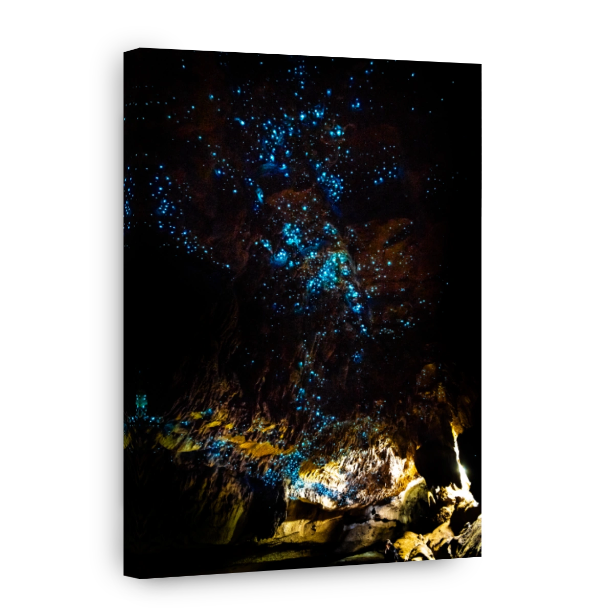 Mystical glowworms illuminate Waipu Caves in New Zealand