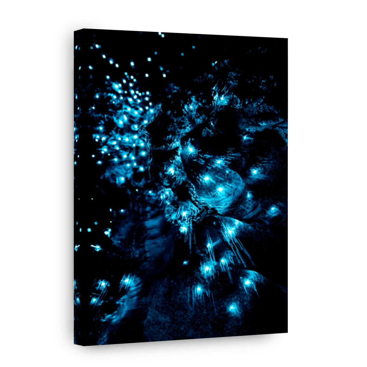 Mysterious Glowworms in Waipu Cave