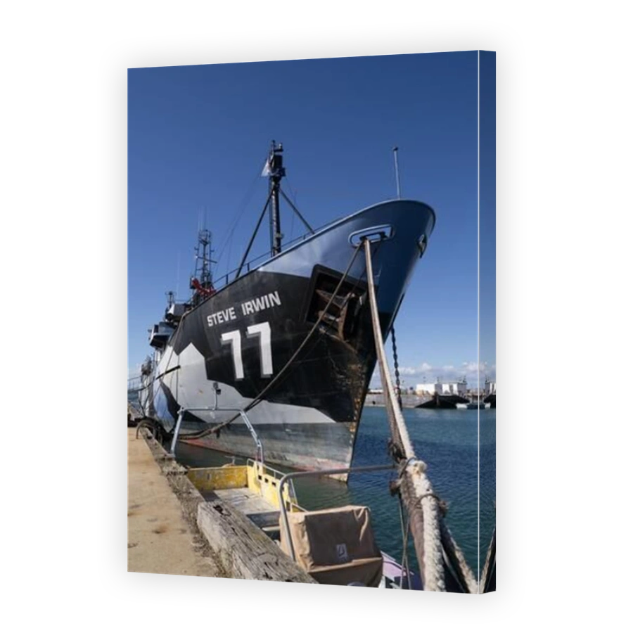 The Steve Irwin anti-whaling ship docked at Williamstown, Victoria.  Now a museum, bar and restaurant.