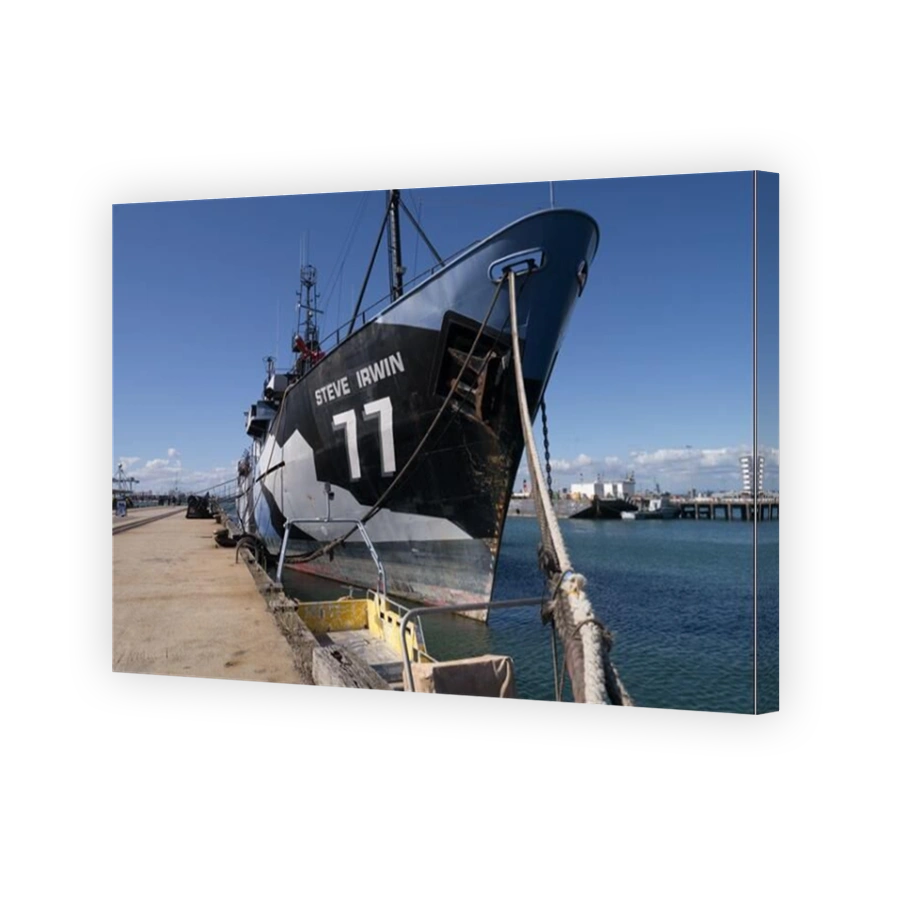 The Steve Irwin anti-whaling ship docked at Williamstown, Victoria.  Now a museum, bar and restaurant.