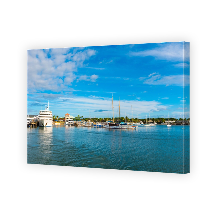 Boats in the port of Denarau, Nadi - Fiji. Copy space for text