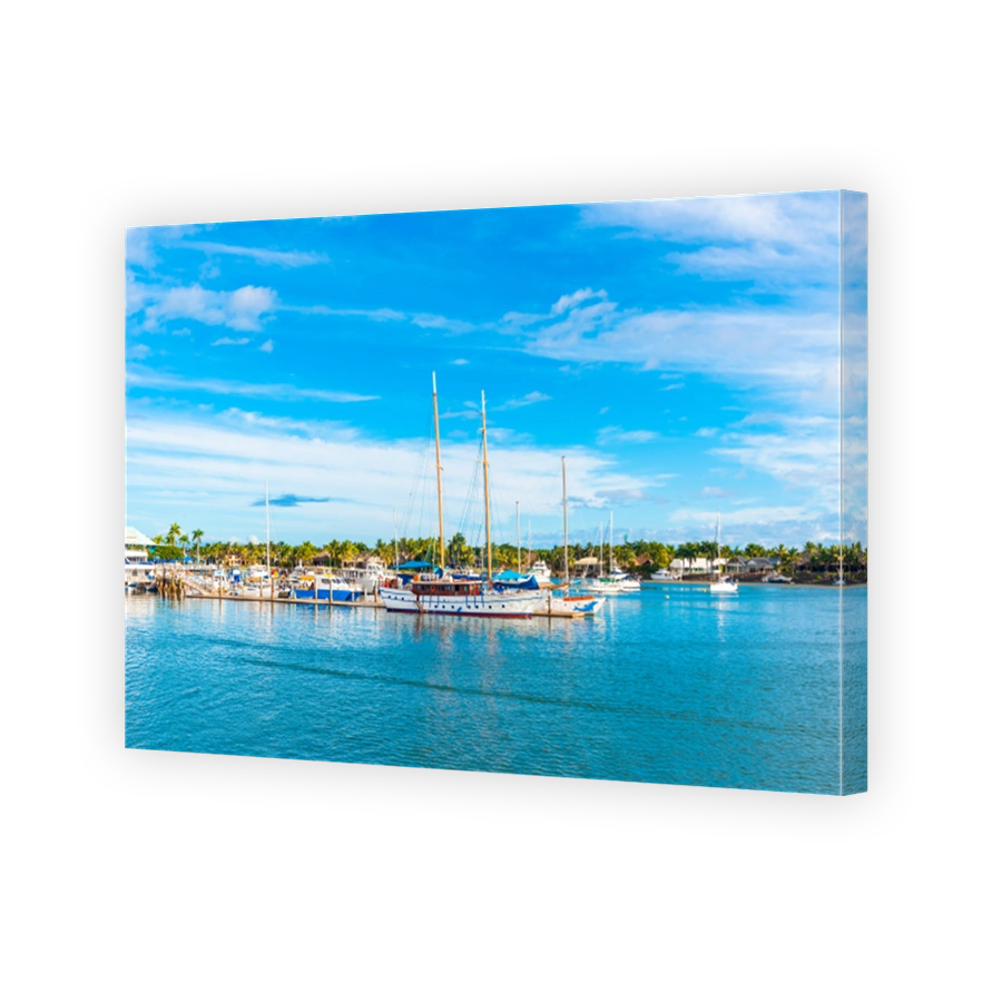 Boats in the port of Denarau, Nadi - Fiji. Copy space for text