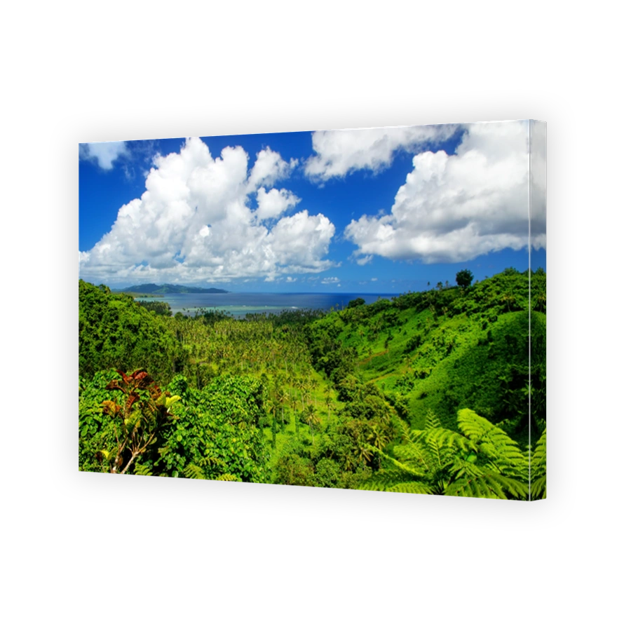 View of Bouma National Heritage Park and Somosomo strait