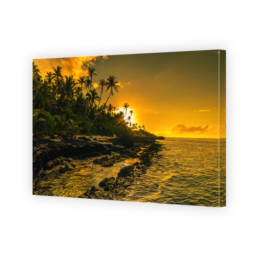 Coconut palm trees on beach during the sunrise on Upolu, Samoa Islands