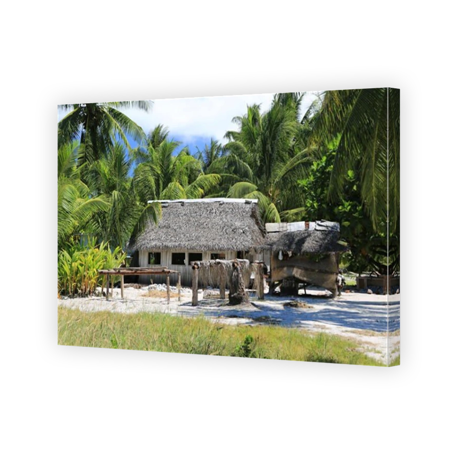 Hut made from coconut palm tree in the village, Christmas Island, Kiribati