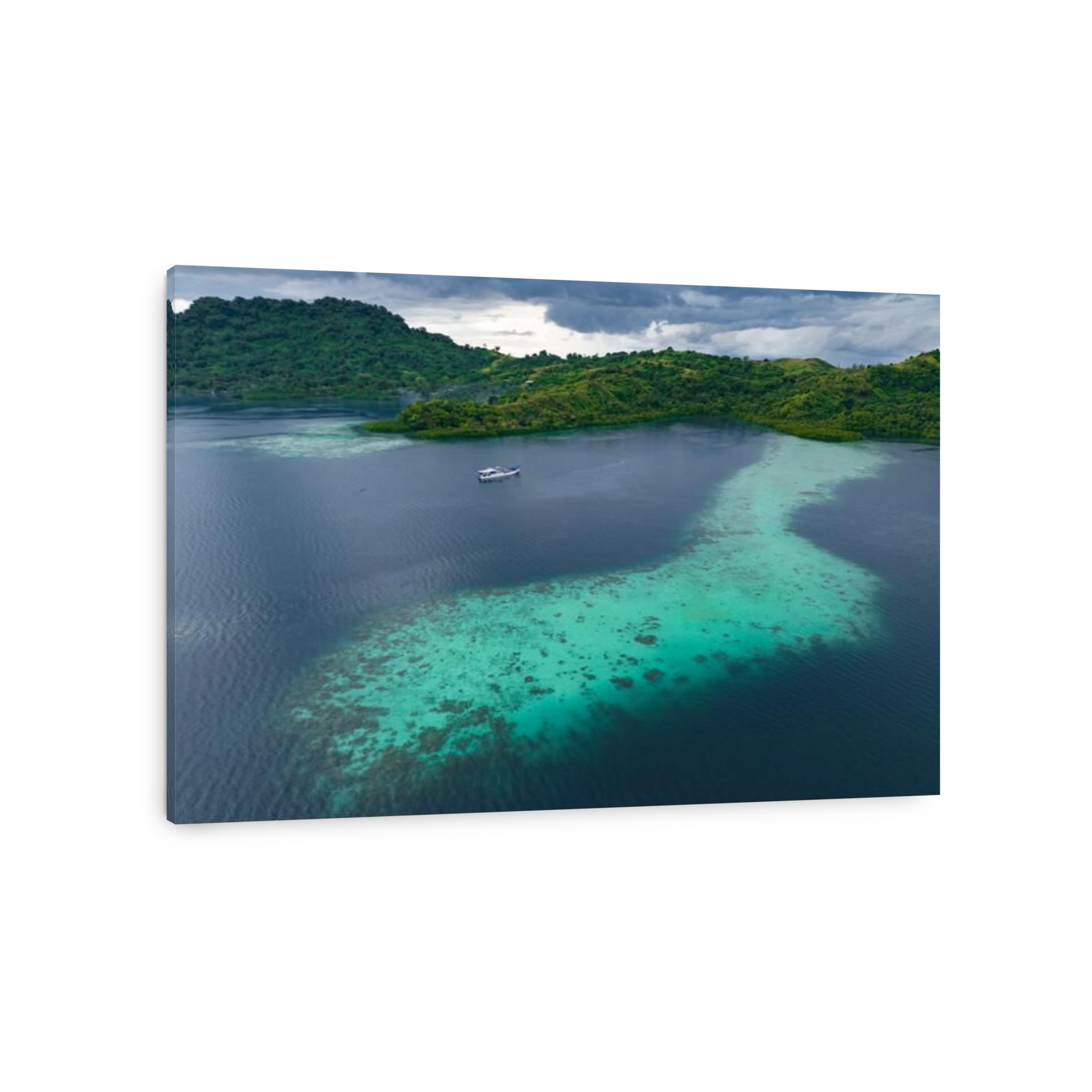 A scenic tropical island is fringed by a healthy coral reef in the Solomon Islands. This beautiful country is home to spectacular marine biodiversity.