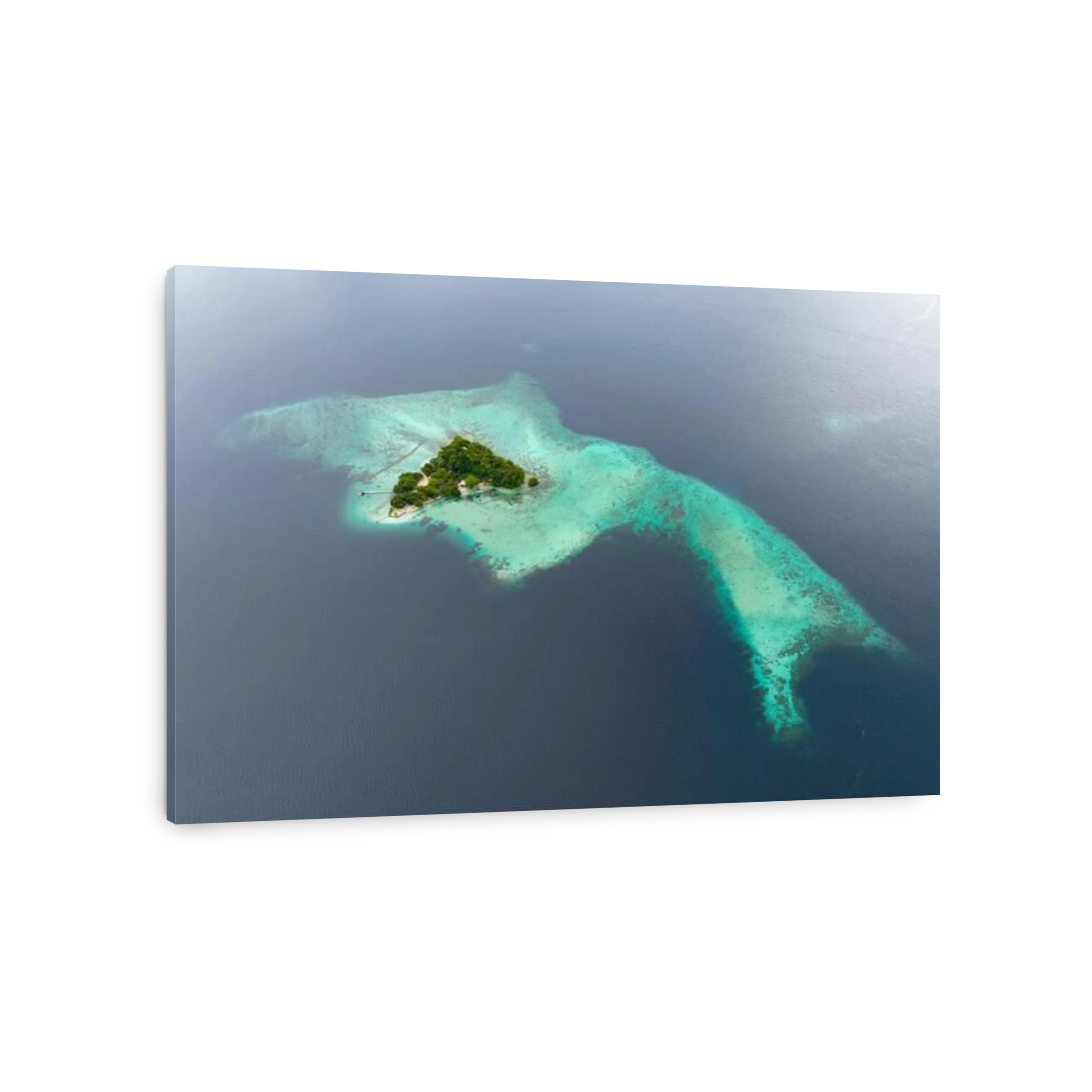 A scenic tropical island is fringed by a healthy coral reef in the Solomon Islands. This beautiful country is home to spectacular marine biodiversity.