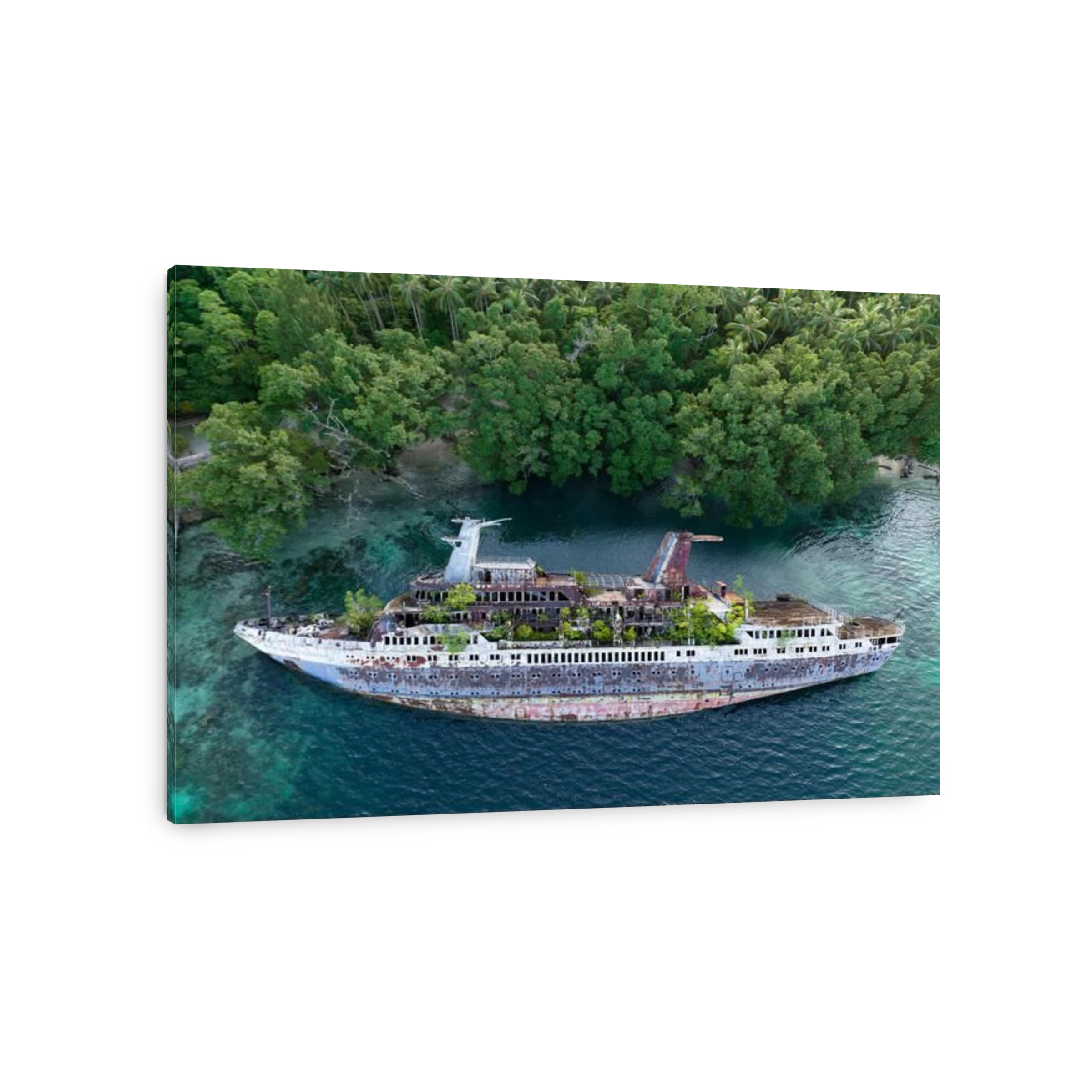 Mother Nature is slowly reclaiming the World Discoverer, a cruise ship that was shipwrecked in the Solomon Islands. The ship struck a reef in 2000.