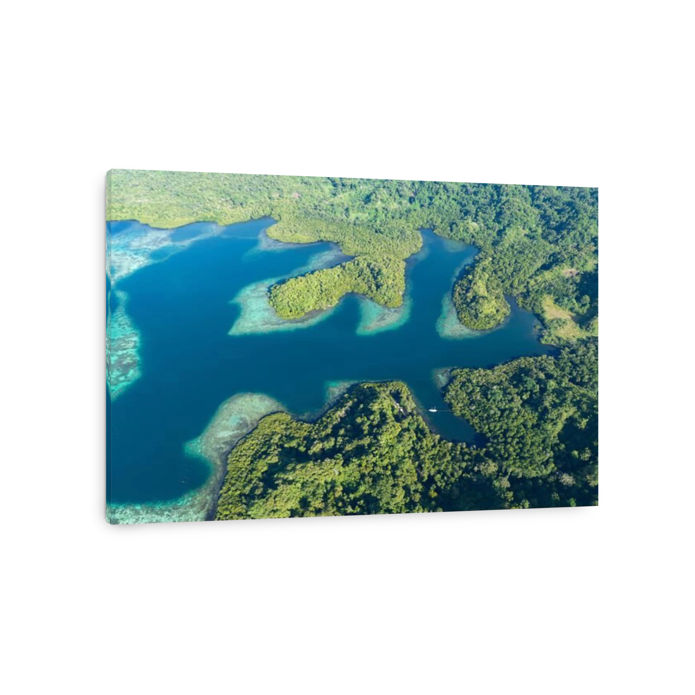 Coral reefs fringe convoluted, tropical islands found in a remote part of the Solomon Islands. This country harbors extraordinary marine biodiversity.