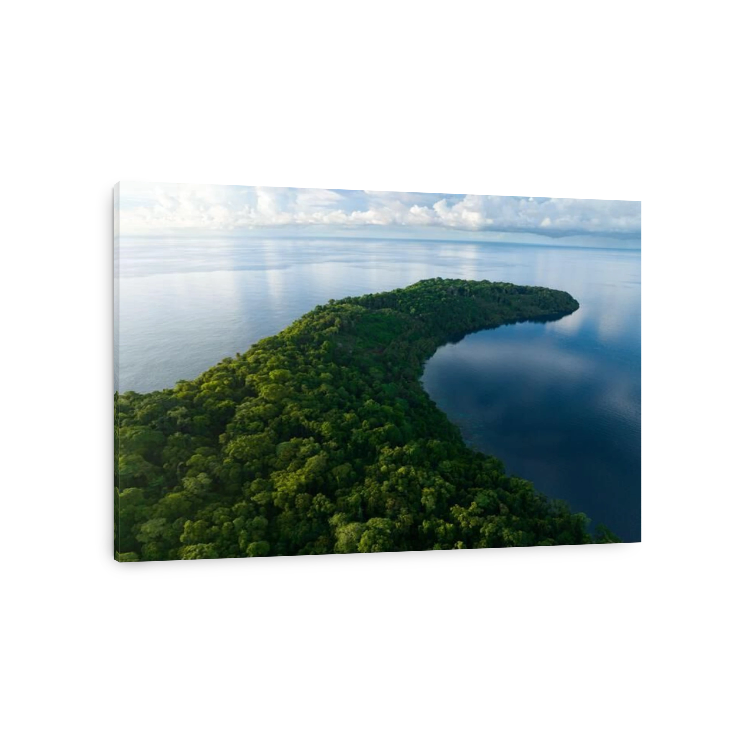 A lush, tropical island is fringed by a coral reef in the Solomon Islands. This beautiful country is home to spectacular marine biodiversity.