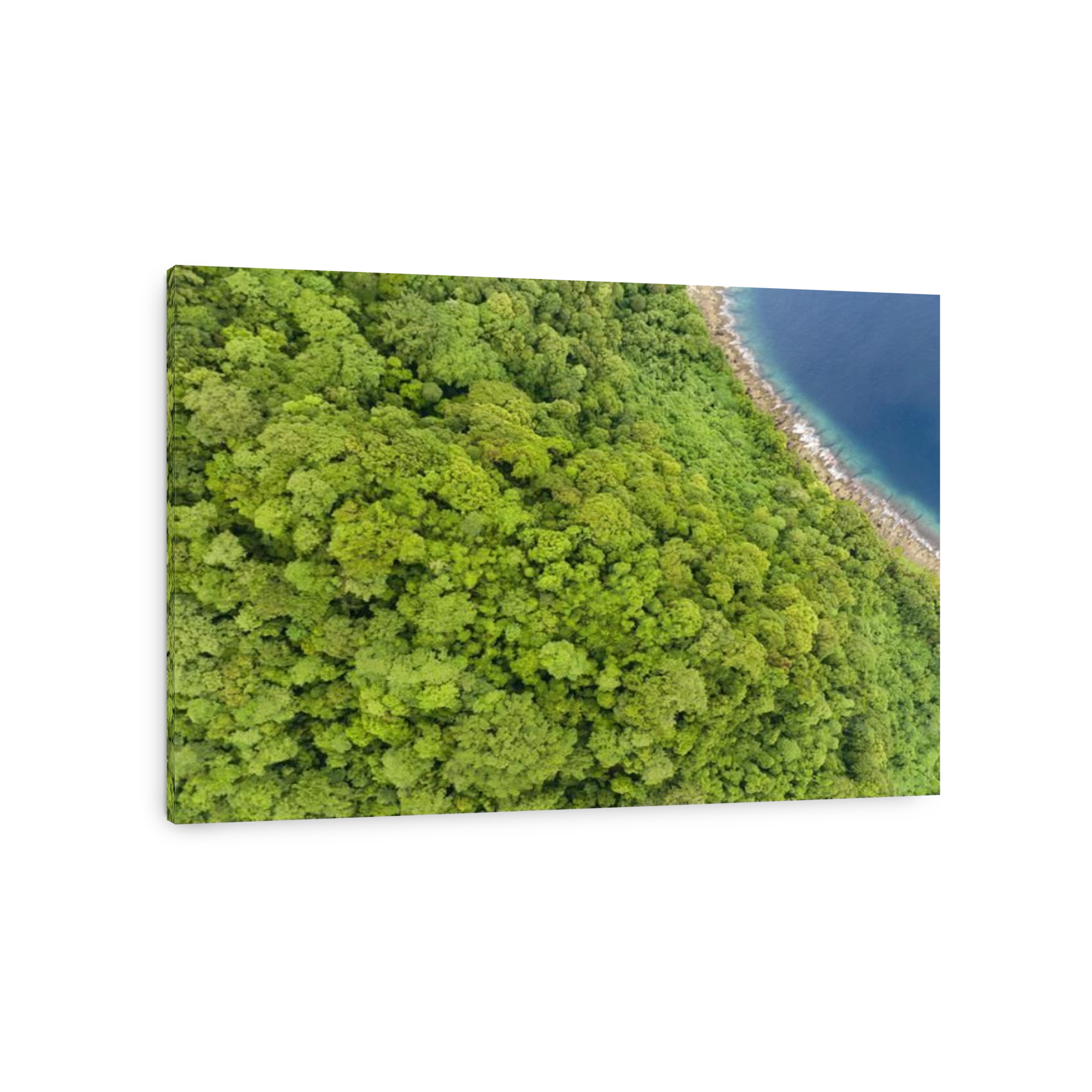 A lush, tropical island is fringed by a coral reef in the Solomon Islands. This beautiful country is home to spectacular marine biodiversity.