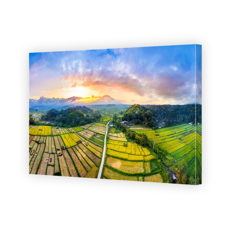 Panorama of rice field and mount Agung in Bali, Indonesia.