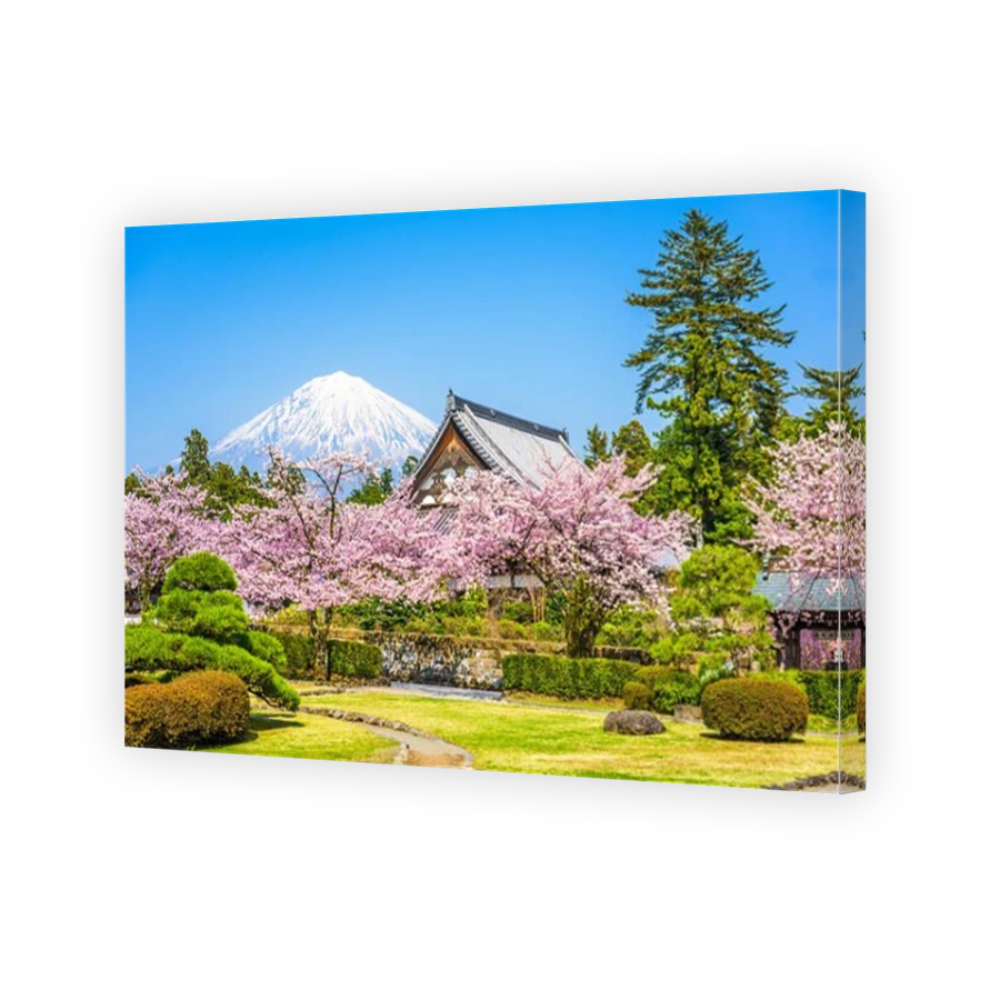Shizuoka, Japan with Mt. Fuji in spring.