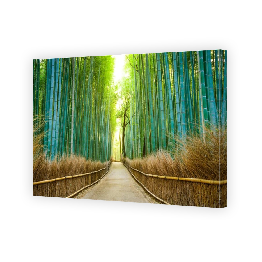 Kyoto, Japan bamboo forest.