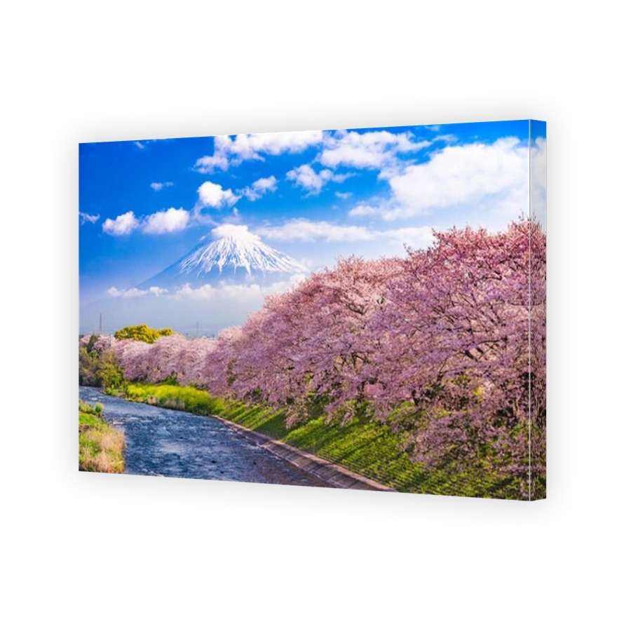 Mt. Fuji, Japan and river in Spring.