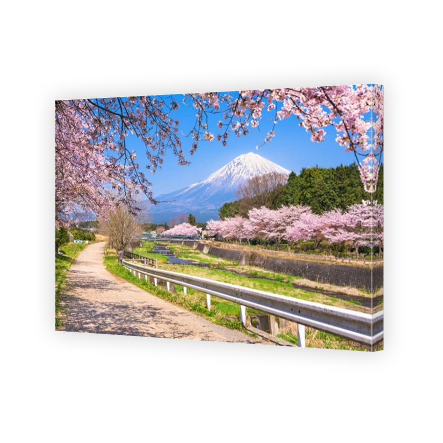 Mt. Fuji viewed from rural Shizuoka Prefecture in spring season.