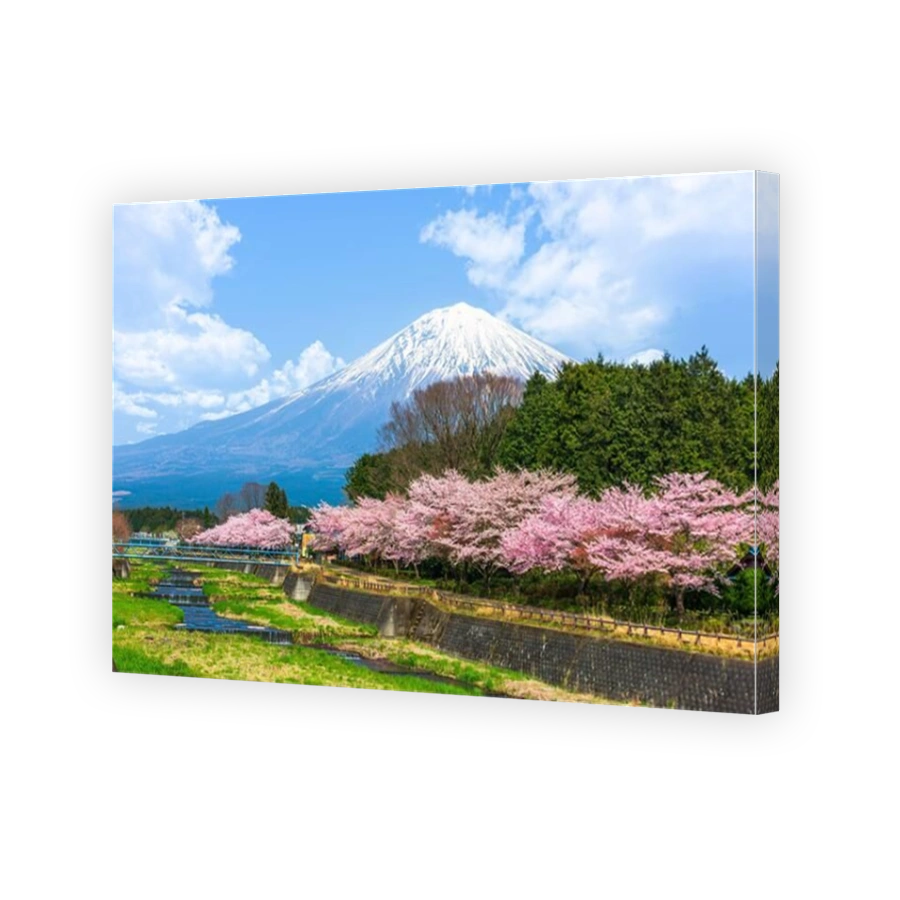 Mt. Fuji viewed from rural Shizuoka Prefecture in spring season.