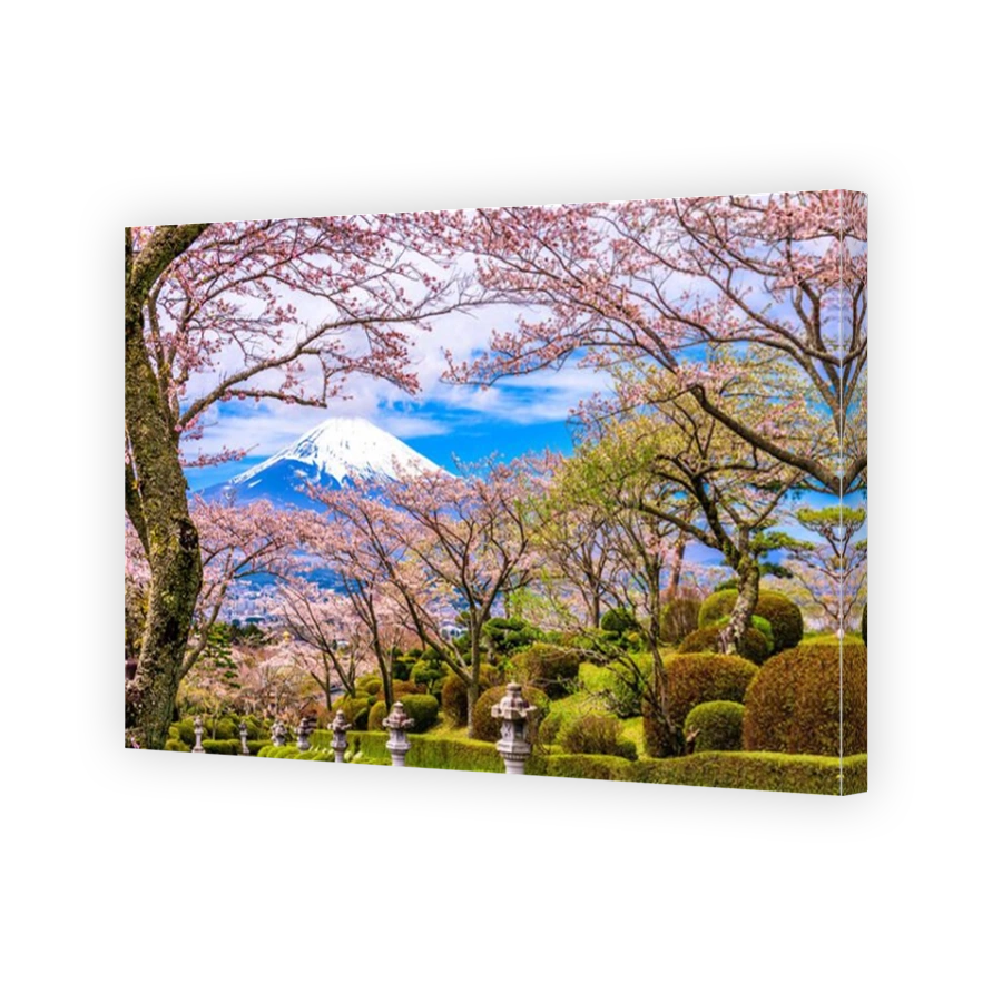 Gotemba City, Japan at Peace Park with Mt. Fuji in spring season.