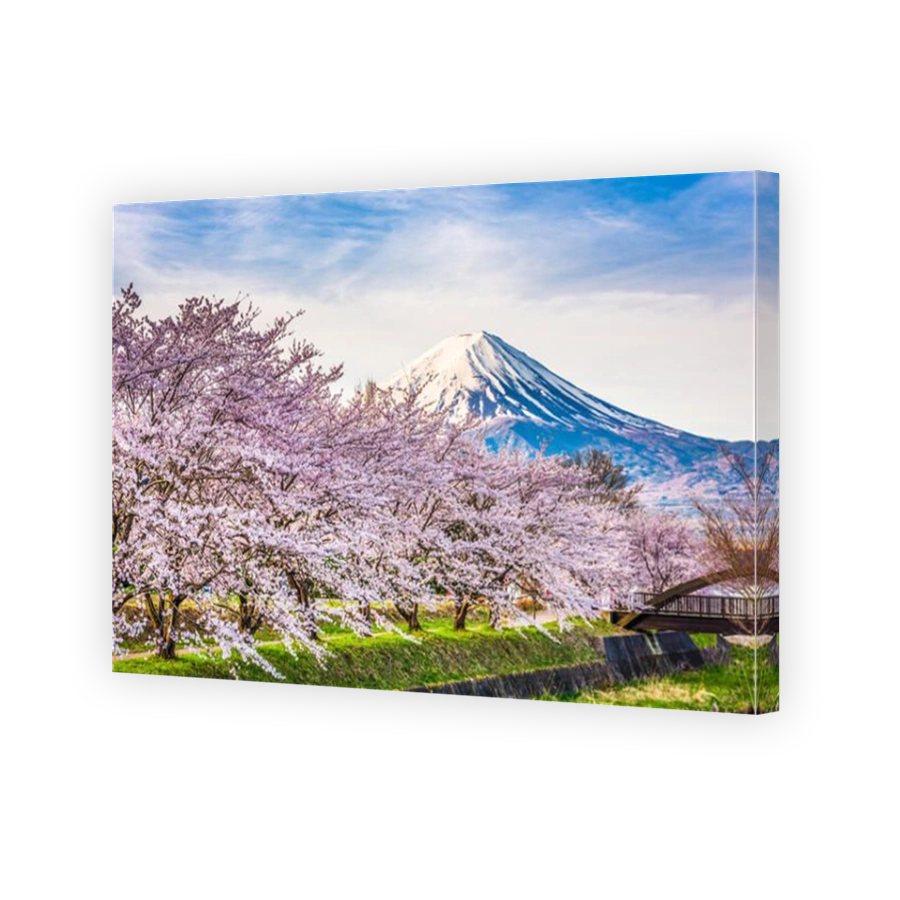 Mt. fuji Japan in Spring from the shore of Kawaguchi Lake.