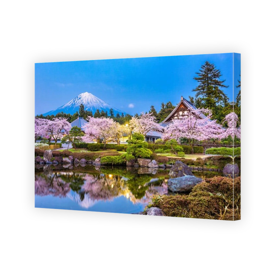 Fujinomiya, Shizuoka, Japan with Mt. Fuji and temples in spring season.
