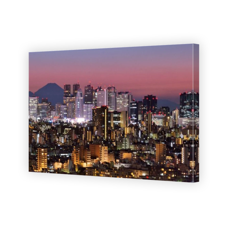Skyline of Shinjuku, Tokyo, Japan with Mt. Fuji visible