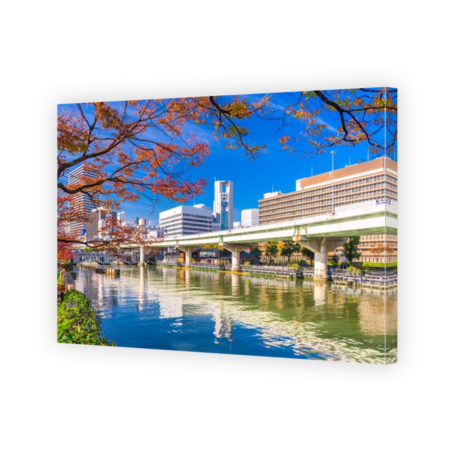 Nakanoshima, Osaka, Japan