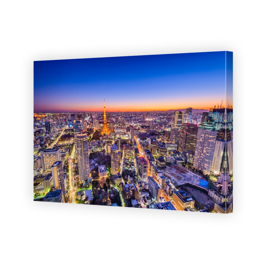 Tokyo, Japan Cityscape