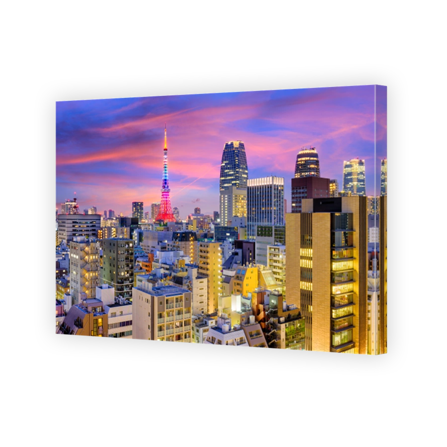 Tokyo, Japan Skyline