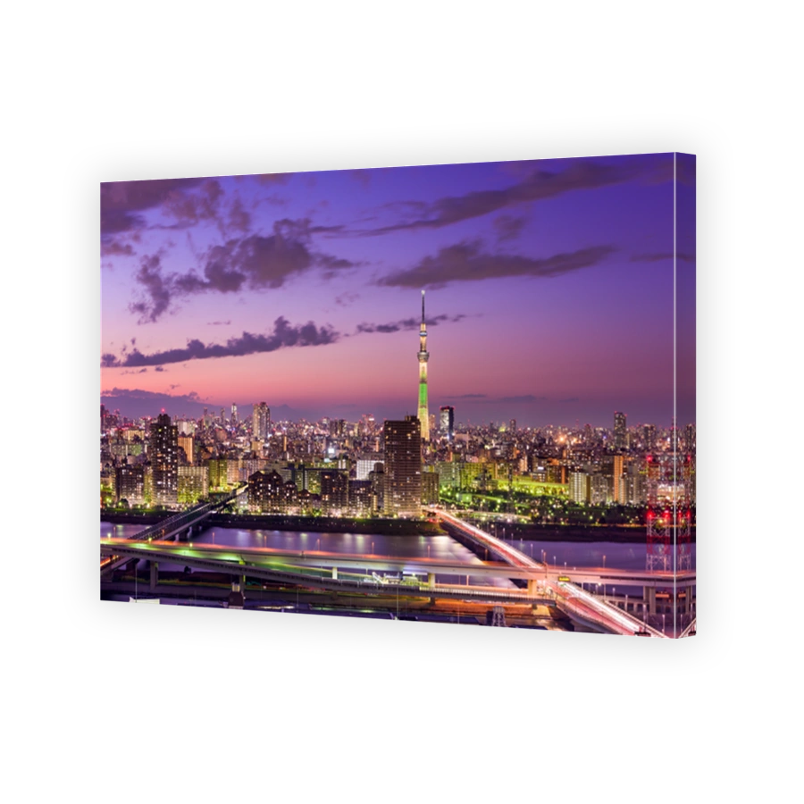 Tokyo Japan Skyline